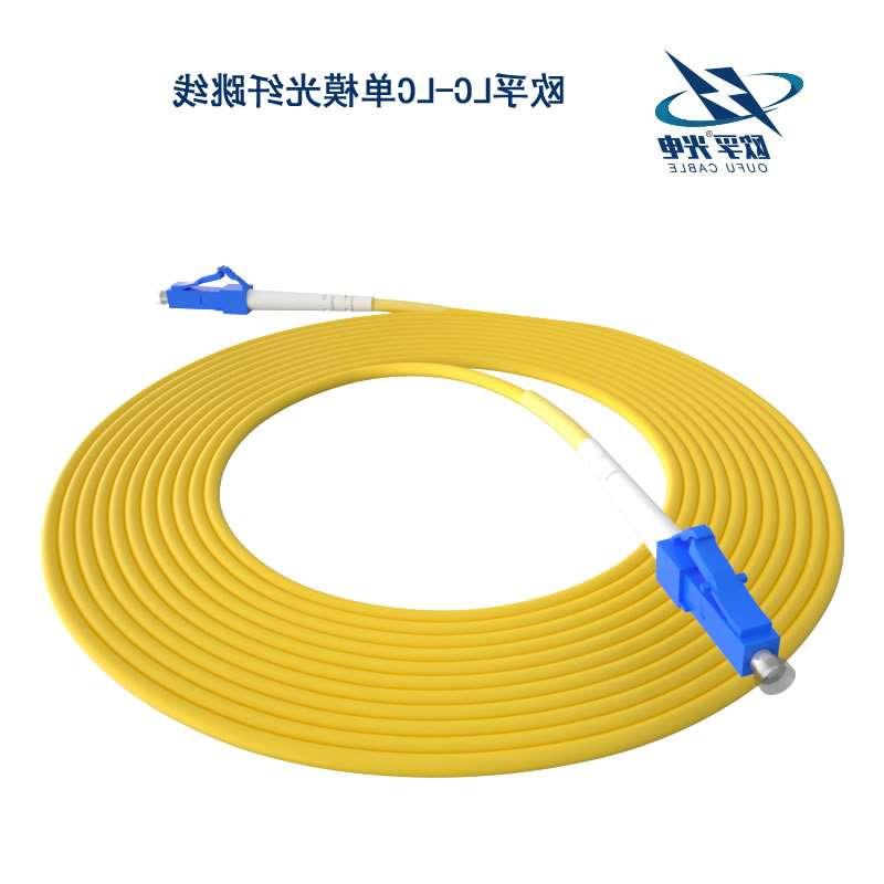 惠州市LC/PC光纤跳线