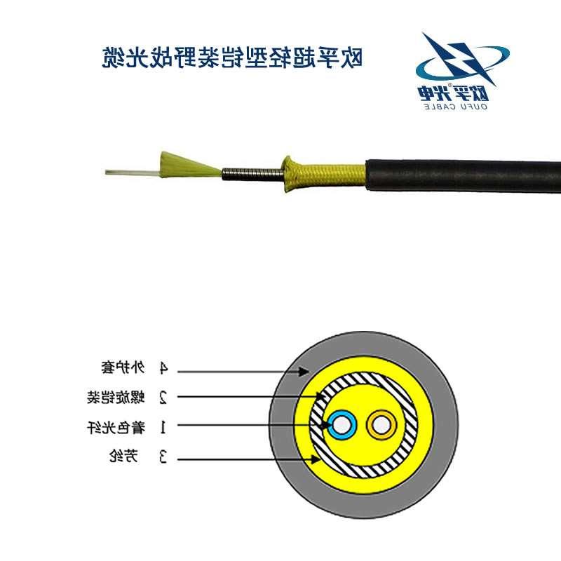 芜湖市超轻型铠装野战光缆