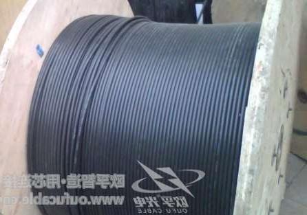 深圳市12芯GYXTW中心束管式光缆制作 欧孚GYXTW光缆特点